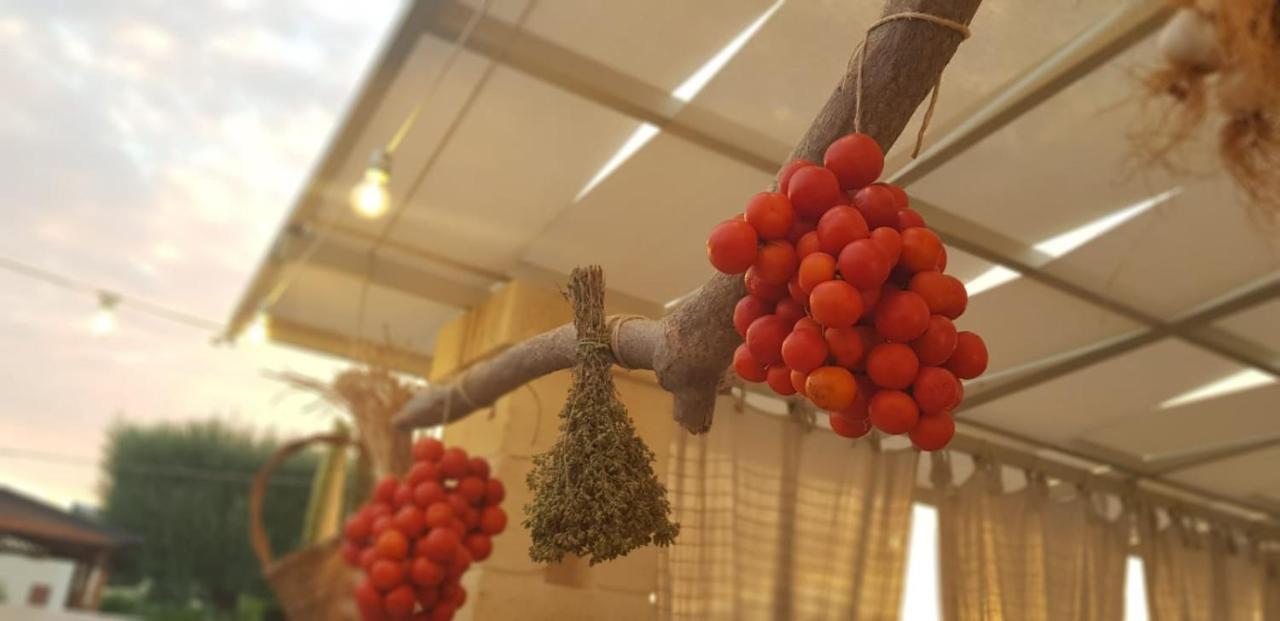 شقة Paolottavia مونوبولي المظهر الخارجي الصورة